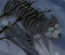 imagem de capa do personagem Shigure