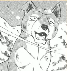 imagem de capa do personagem Shingo