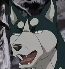imagem de capa do personagem Rick