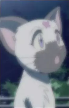 imagem de capa do personagem Raama