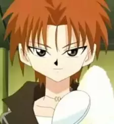 imagem de capa do personagem Rice