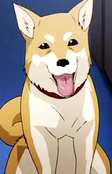 imagem de capa do personagem Li'l Q