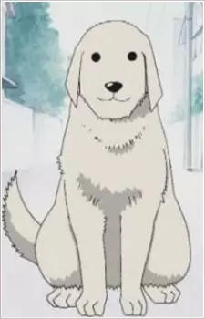 imagem de capa do personagem Tadakichi-san