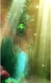 imagem de capa do personagem Ancient Forest Dragon
