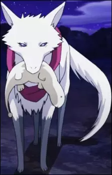 imagem de capa do personagem Roda