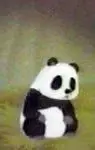 imagem de capa do personagem Tao Tao