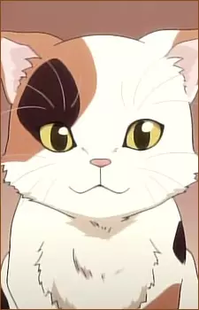 imagem de capa do personagem Shamisen