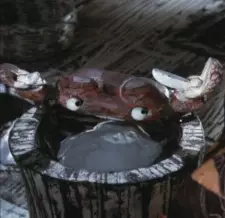 imagem de capa do personagem Kani