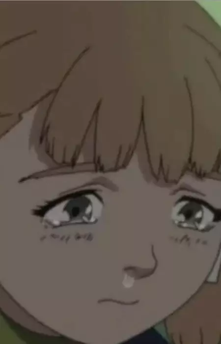 imagem de capa do personagem Meiling Huang