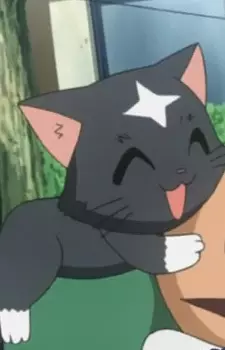 imagem de capa do personagem Shiranui