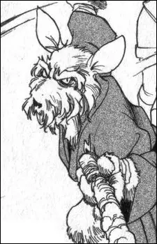 imagem de capa do personagem Splinter