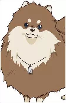 imagem de capa do personagem Roen