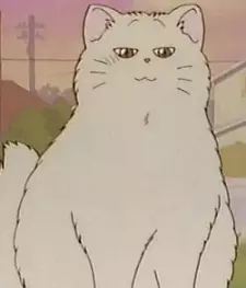 imagem de capa do personagem Botan