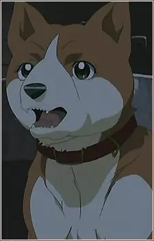 imagem de capa do personagem Reika