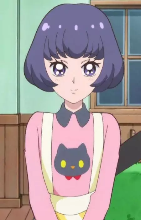 imagem de capa do personagem Karin Akeboshi