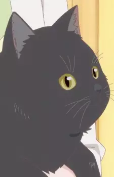 imagem de capa do personagem Daru