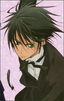 imagem de capa do personagem Raven