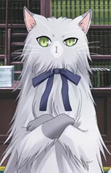 imagem de capa do personagem Nico