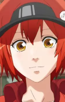 imagem de capa do personagem Sekkekkyuu AE3803