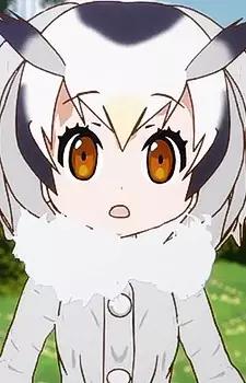 imagem de capa do personagem Northern White-faced Owl