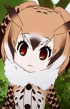 imagem de capa do personagem Eurasian Eagle-owl