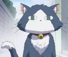 imagem de capa do personagem Buchi