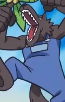 imagem de capa do personagem Ookami