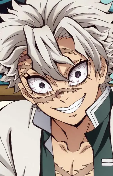 imagem de capa do personagem Sanemi Shinazugawa