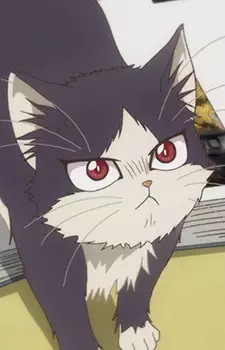 imagem de capa do personagem Haru