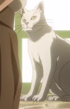 imagem de capa do personagem Tim