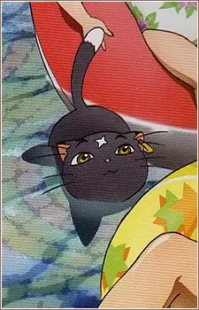 imagem de capa do personagem Mikoto