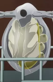 imagem de capa do personagem Li Gado