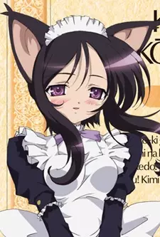 imagem de capa do personagem Eneus