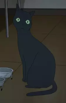 Tako