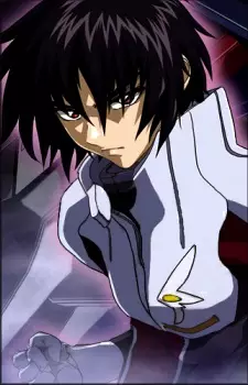 imagem de capa do personagem Shinn Asuka