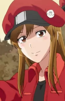 imagem de capa do personagem Sekkekkyuu AA5100