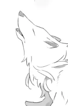 imagem de capa do personagem Gin Ookami