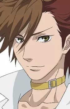 imagem de capa do personagem Sakon Shima