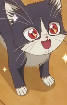 imagem de capa do personagem Hachi