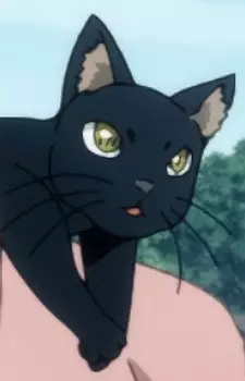 imagem de capa do personagem Coo Ritter