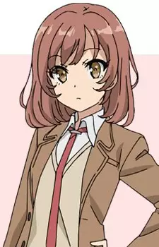 imagem de capa do personagem Saki Kamisato