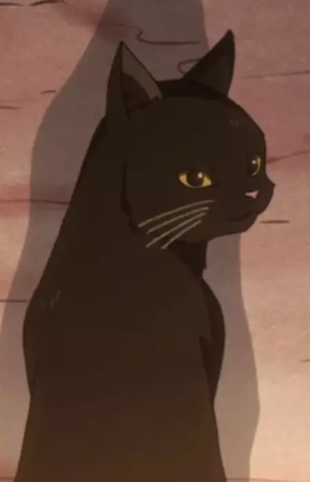 imagem de capa do personagem Aoi