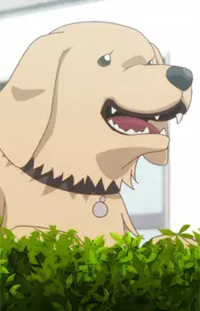 imagem de capa do personagem Tarou