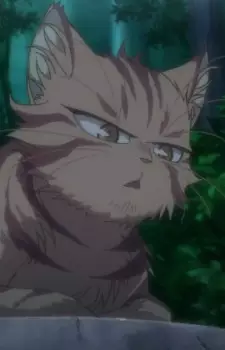 imagem de capa do personagem Tora-neesan