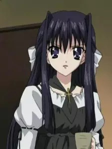 imagem de capa do personagem Sayaka Shirakawa